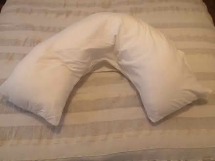 Photo of free Back support pillow (West Malvern CP WR14) #1