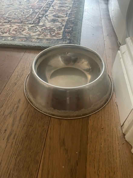 Photo of free Dog water bowl (Upper Wolvercote OX2) #1