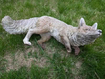 Photo of free Garden statue - fox (Didcot) #3
