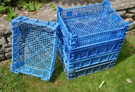 Photo of free Vegetable trays (Freshford) #1