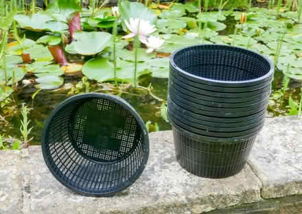 Photo of free Planting baskets for pond plants (Freshford) #1