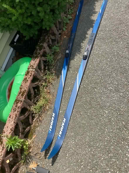 Photo of free Cross Country Skis (North Waltham) #1
