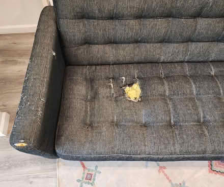 Photo of free Scandinavian Design Couch (West Oakland) #3