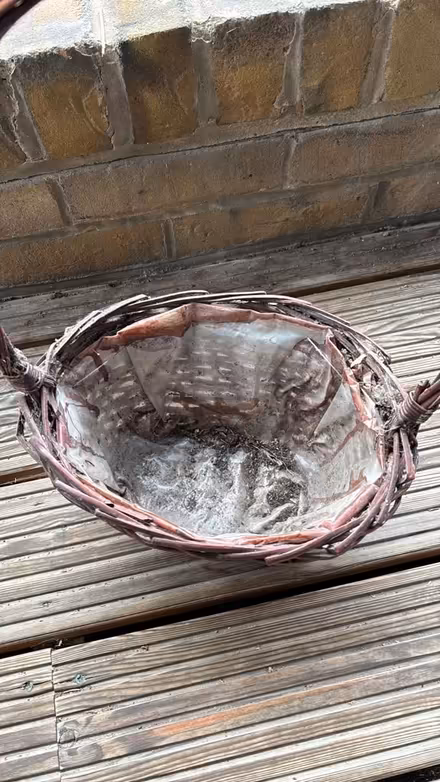 Photo of free Plant basket (N8) #2