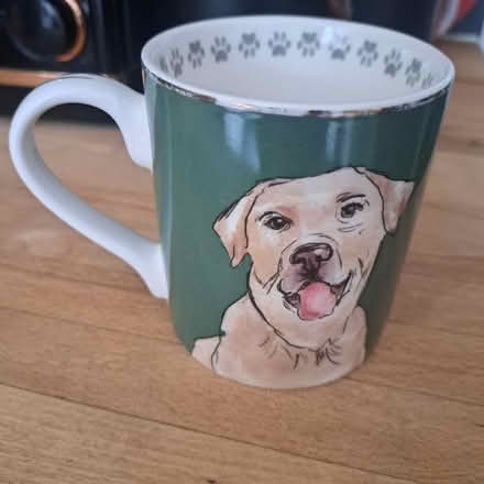 Photo of free Fine china Labrador mug (Warwick CV34) #1