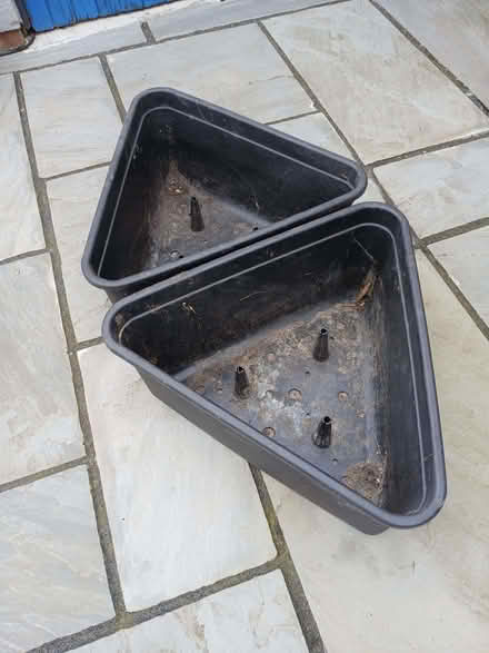 Photo of free Plastic Planter Pot x2 (Arlesey SG15) #3