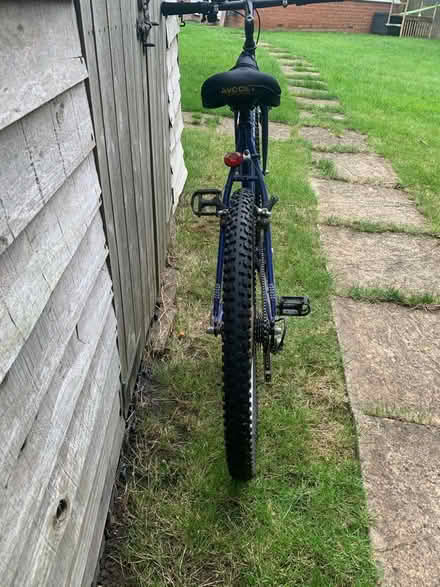 Photo of free Shogun Trail Blazer bike (Ware, SG12) #3