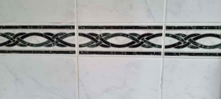 Photo of free Ceramic tiles (Pittville GL50) #4