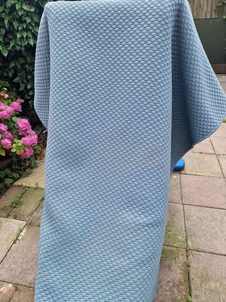 Photo of free Blue rug IKEA (NW10) #2
