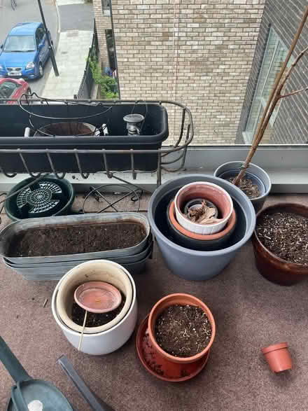 Photo of free Selection of flower pots (East Dulwich) #3