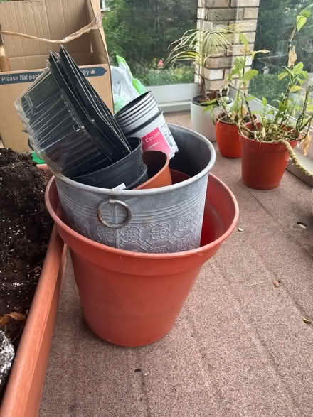 Photo of free Selection of flower pots (East Dulwich) #1