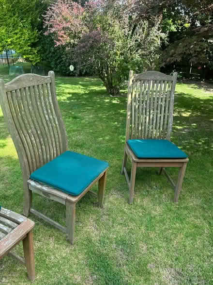 Photo of free Four Alexander Rose wooden chairs plus four seat cushions (Balcombe RH17) #1