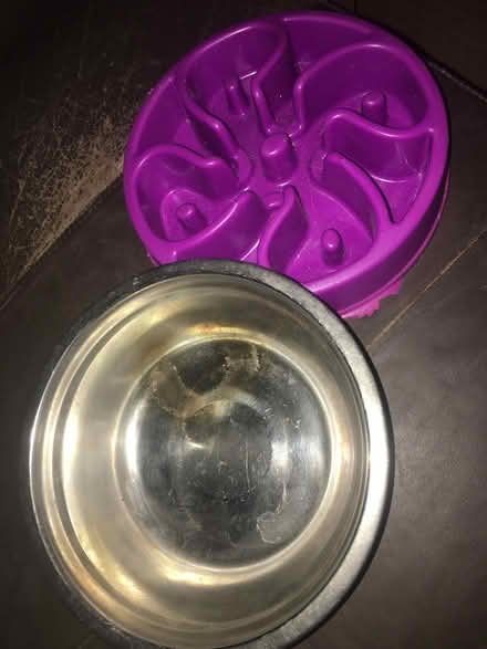 Photo of free Dog bowls (B45) #1