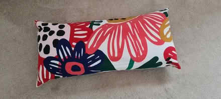 Photo of free Floral cushions (2 available) (Sheddingdean RH15) #1