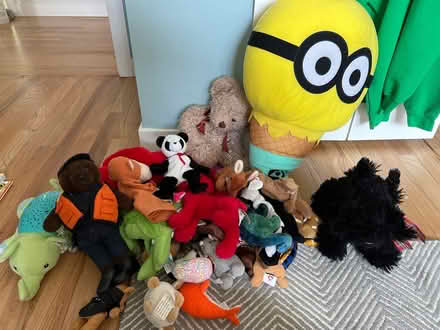 Photo of free Gently used stuffies (Magnolia) #1