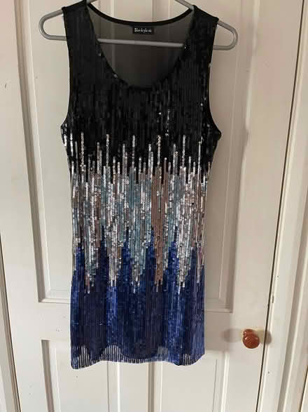 Photo of free Sparkly party dress size 10-12 (Oxford OX2) #1