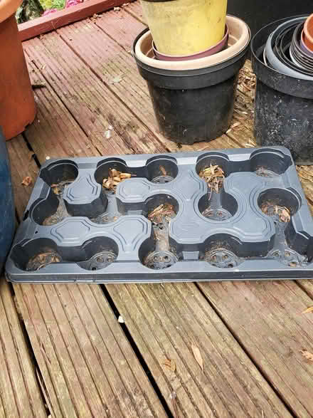 Photo of free Plastic plant pots (Plumstead, SE18) #3