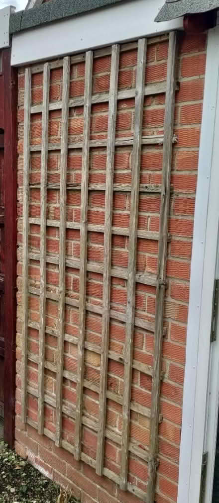 Photo of free Trellis (Sarisbury Green) #2