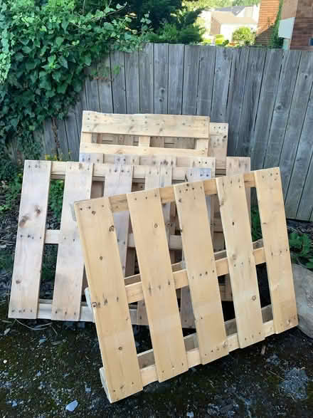 Photo of free 6 pallets good dry condition (Ecclesall) #1