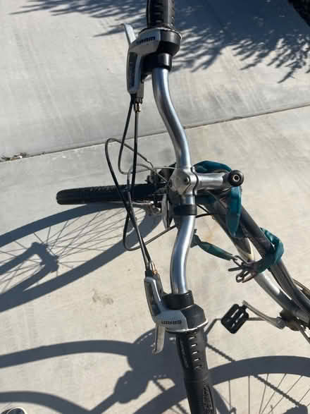 Photo of free Schwinn bicycle (Florence) #4