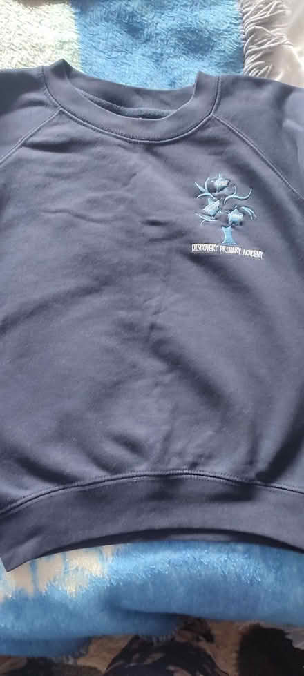 Photo of free Discovery primary jumper (Walton) #1