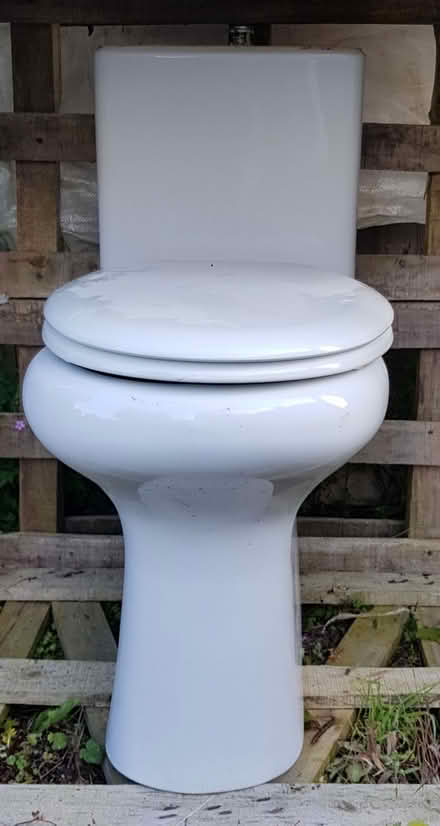 Photo of free Working toilet (Stoke-sub-Hamdon TA14) #2