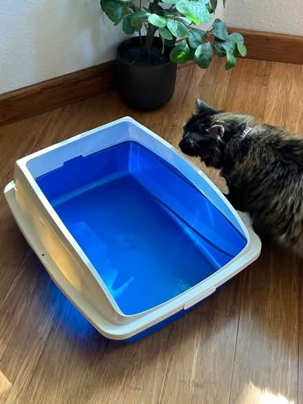 Photo of free Kitty litter box (Oakland) #1