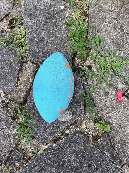 Photo of free Kids’ rugby ball (New Marston OX3) #1