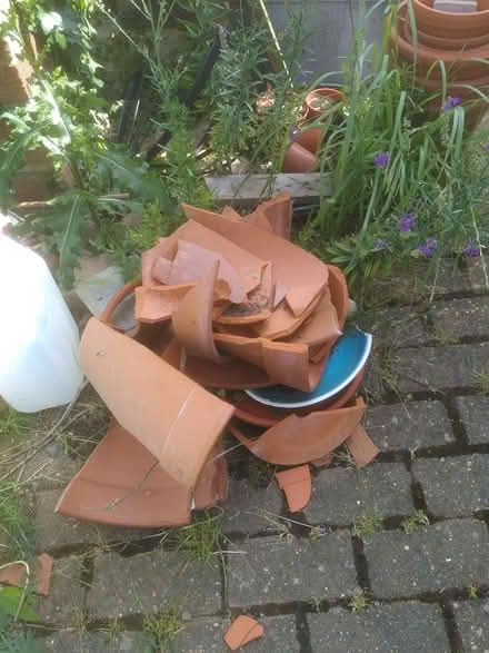 Photo of free Terracotta for crocks/ bug habitat making etc (Yarnton OX5) #1