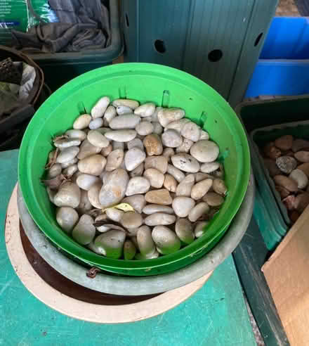 Photo of free Pebble mulch, decorative (Buxworth SK23) #1