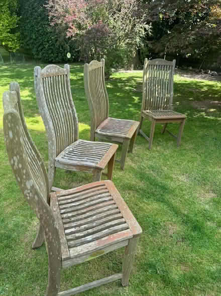 Photo of free Four Alexander Rose wooden chairs plus four seat cushions (Balcombe RH17) #2