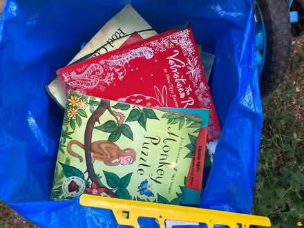 Photo of free Kids books bundle (Welwyn AL6) #3
