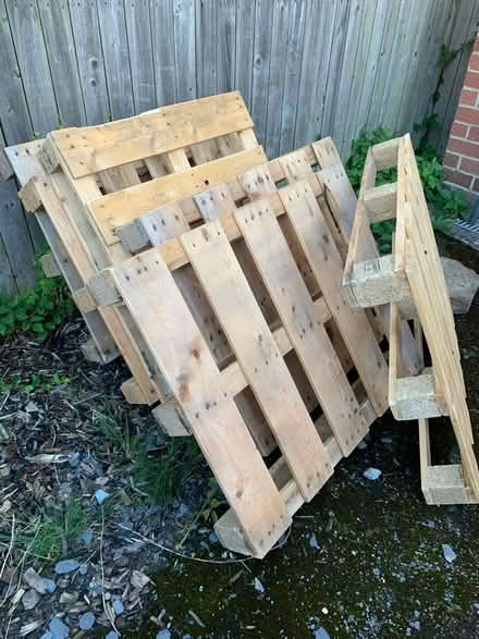Photo of free 6 pallets good dry condition (Ecclesall) #3