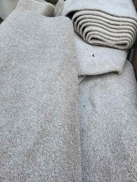 Photo of free Carpet offcuts various sizes (Fittleworth) #2