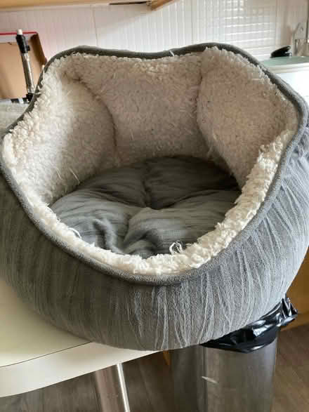 Photo of free Small dog / cat bed (PR4) #1