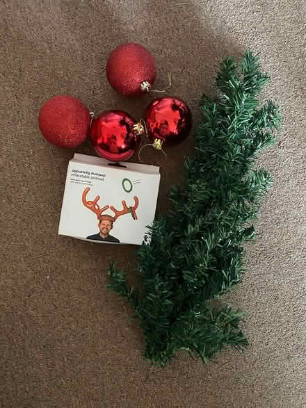 Photo of free Christmas decorations (New Marston OX3) #1