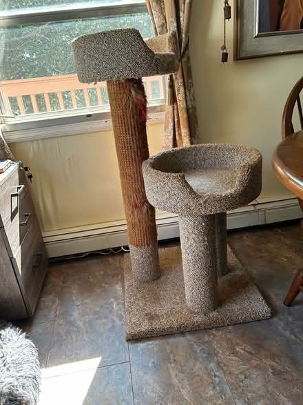 Photo of free Cat tree (Crozet) #1