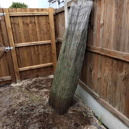 Photo of free Willow screen (Stanway CO3) #1