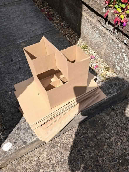 Photo of free Bottle carrier boxes x 20+ (Causeway End MK43) #1