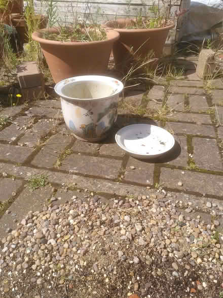 Photo of free decorative pot and saucer (Yarnton OX5) #1