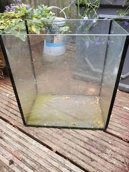 Photo of free Glass tank (Plumstead, SE18) #1