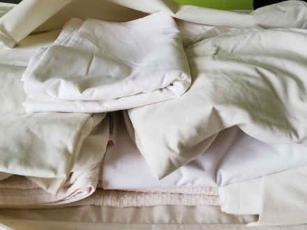 Photo of free Miscellaneous bedding, single (Allestree DE22) #1