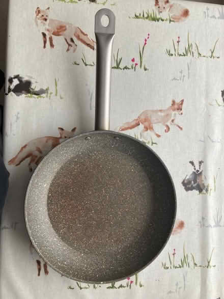 Photo of free Large frying pan (Swanley BR8) #1