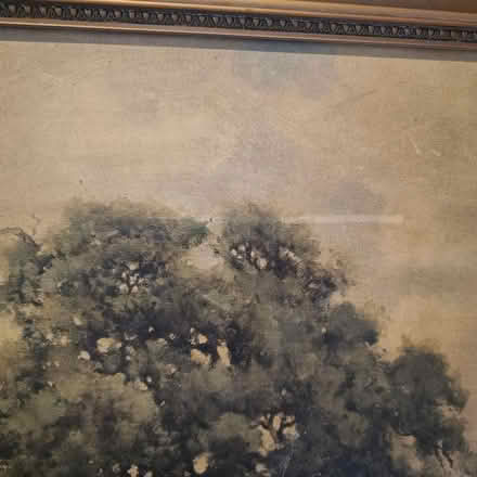 Photo of free Old painting of Texas bluebells (East Finchley N2) #1