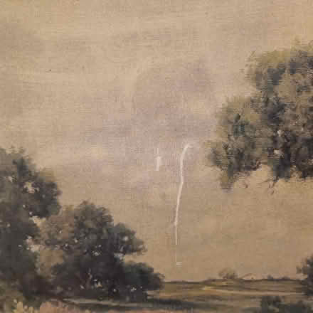 Photo of free Old painting of Texas bluebells (East Finchley N2) #2