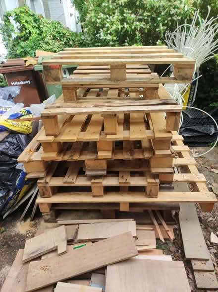 Photo of free 6 pallets in good condition (E8) #1