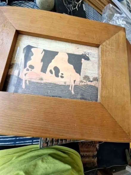 Photo of free Naive animal pics (Upper Weston) #2