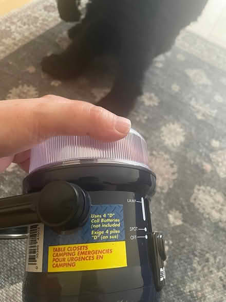 Photo of free Flashlight (Meadowvale, Mississauga) #4