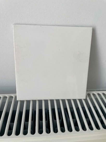 Photo of free Tiles (Poplars SG2) #1
