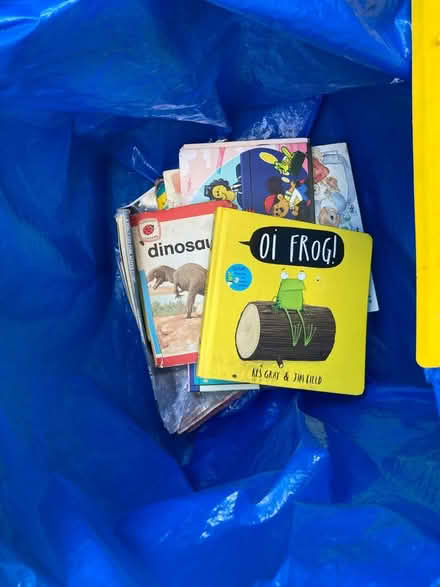 Photo of free Kids books bundle (Welwyn AL6) #4